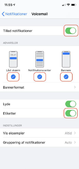 iOS indstillinger