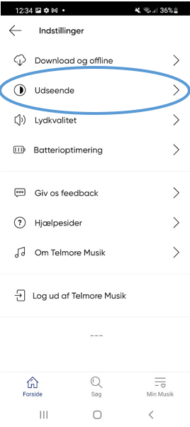 Telmore Musik udseende